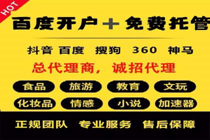 行业新秀的SEM托管代运营之路