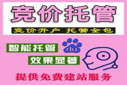 SEM广告的秘密武器：精准定向与优化策略